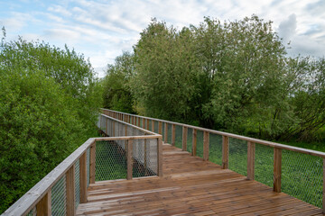 Wooden walk track in green park