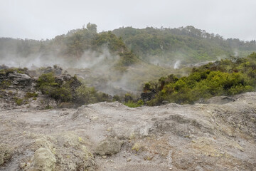 Geothermal Valley Te Puia