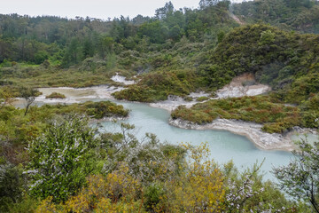 Geothermal Valley Te Puia