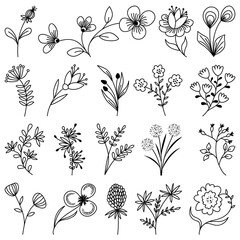 Large set of hand drawn vector floral elements (leaves, flowers, branches). Botanical illustrations. Suitable for wedding invitations, greeting cards, quotes, blogs, frames.