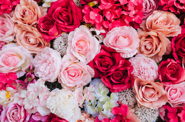 Red, pink plants close-up. Background, texture of multi-colored, bright, beautiful homemade, various colors. Decorations for photography.