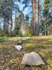 Photography is not an authorized garbage, rubbish on the nature of the pine forest