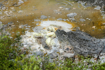 Geothermal Valley Te Puia