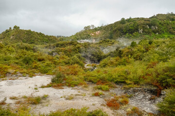 Geothermal Valley Te Puia
