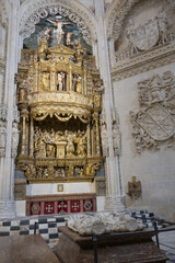 Les chemins de Compostelle