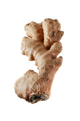 Organic ginger and ginger slices