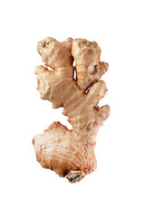 Organic ginger and ginger slices