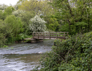 bridge over the river