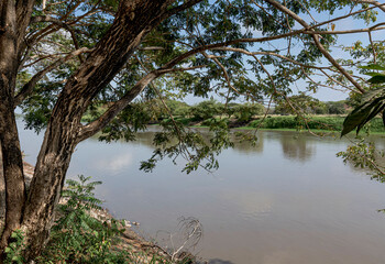 Fototapeta na wymiar Serene and quiet arm of the Magdalena River on the north coast of Colombia.