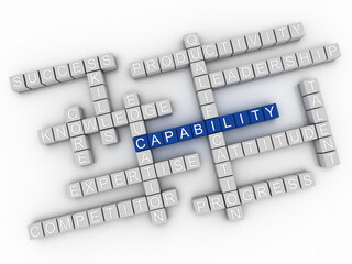 3d Max Capability word cloud concept.