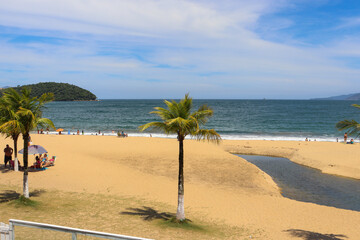 beach with palm trees