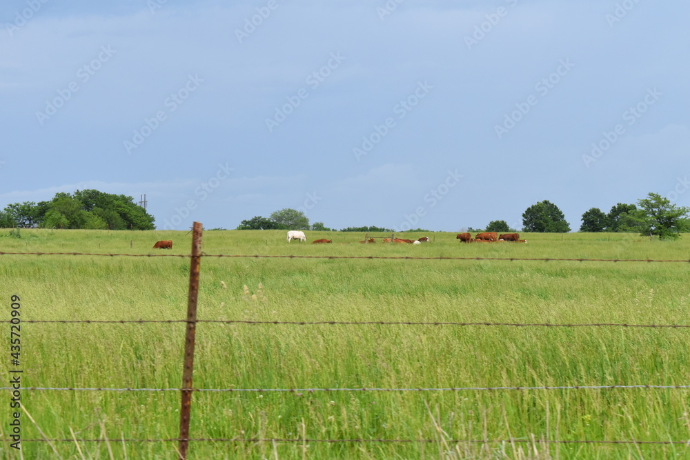 Sticker farm field