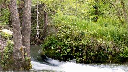 Obraz premium wild swimming water hole