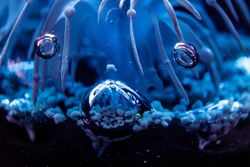water drops on glass