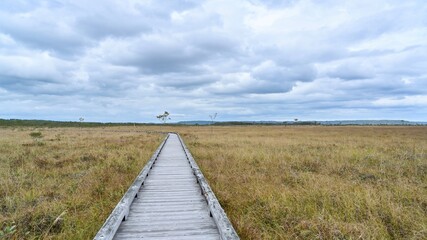 Obraz premium 木道から見る晩秋の釧路湿原の情景＠北海道
