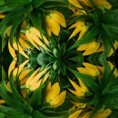 Fototapeta na wymiar yellow flowers background