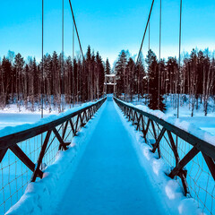 bridge in winter