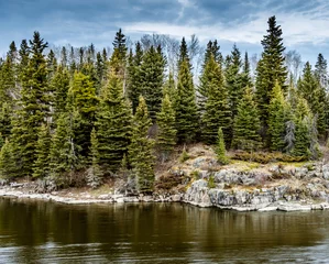 Foto op Aluminium Image of the Grass river in northern Manitoba Canada, showing tall spruce trees and granite rock of the boreal forest.  © Brian