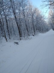 snow covered road
