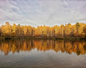 Лосиный Остров — лесной массив на территории Москвы и Московской области.