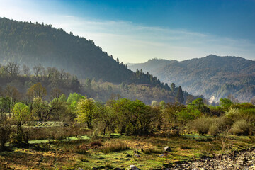 mountain valley covered with dense forest and blue sky at morning from flat angle