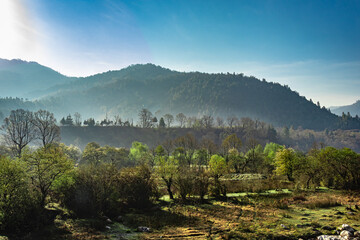 mountain valley covered with dense forest and blue sky at morning from flat angle image is taken at shergaon arunachal pradesh india.