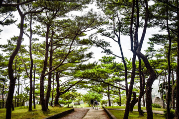 沖縄の風景を眺め歩く