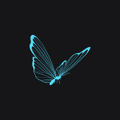 blue butterfly isolated on dark background, line art