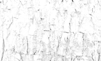Obraz premium White rough bark texture in retro concept.