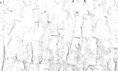 White rough bark texture in retro concept.