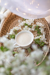 Fresh Spring blossom with a cup of coffee near window with raindrops where sheer curtain and string lights are hanging