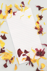 Lined note paper with scattered dried petals around; folded letter paper with messy yellow and red petals