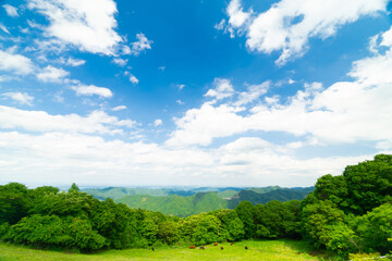 Obraz premium 秩父高原