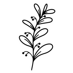 Twig with leaves and berries. Vector icon isolated on white background. Hand-drawn branch. Wild grass, black doodle. Plant outline