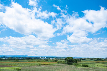 荒川パノラマ公園【2021　初夏】