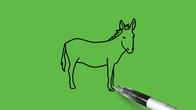 Drawing a horse in black and blue colour combination on abstract green background
