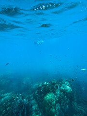 Under the sea Travel in the diving sea