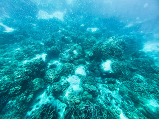Fototapeta na wymiar Under the sea Travel in the diving sea