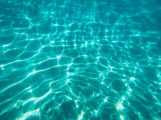 Under the sea Travel in the diving sea