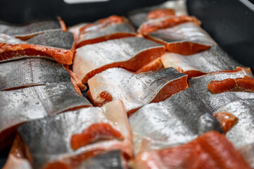 Many pieces of salmon and trout fillet, close-up photo.