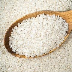 medium-grain polished rice in wooden spoon closeup