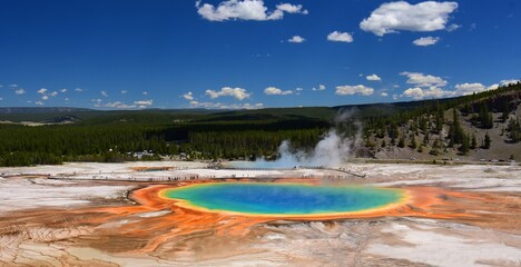 the incredibly colorful grand prismatic hot springs in midway geyser basin on a sunny day as seen...