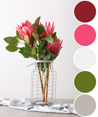 Vase with beautiful protea flowers on light background. Different color patterns