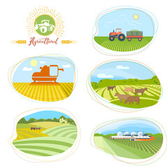 A set of agricultural illustrations. Tractor on the background of fields, combine harvester in the field harvests, agricultural farm, rural landscape, cows graze on the pasture