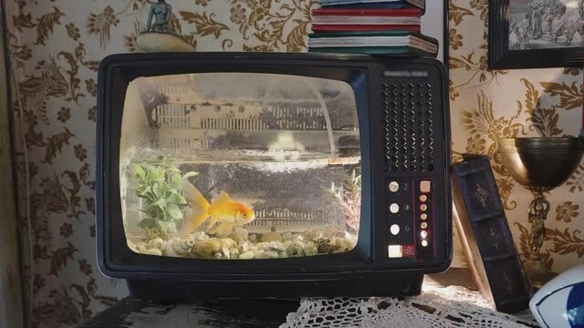 Goldfish in a strange aquarium vintage TV