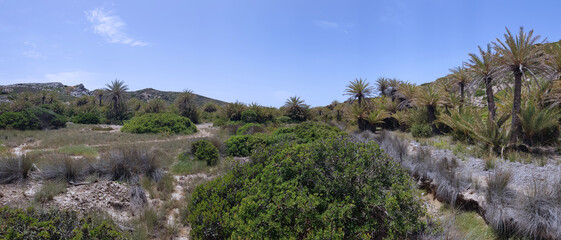 Vai - Traumstrand auf Kreta