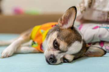 Sleeping or waking up my bed very comfortable.