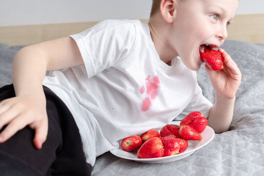 Boy Sitting On The Couch And Eating Strawberry And Spilling Juice On T-shirt. The Concept Of Cleaning Stains On Clothes. High Quality Photo