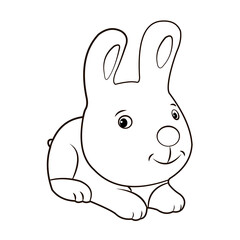 Animals, coloring book for kids. Black and white image, rabbit .