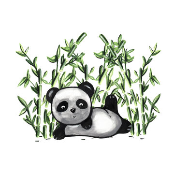 the panda is lying, leg up. bamboo grove. watercolor drawing. vector eps